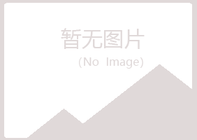 海口字迹化学有限公司